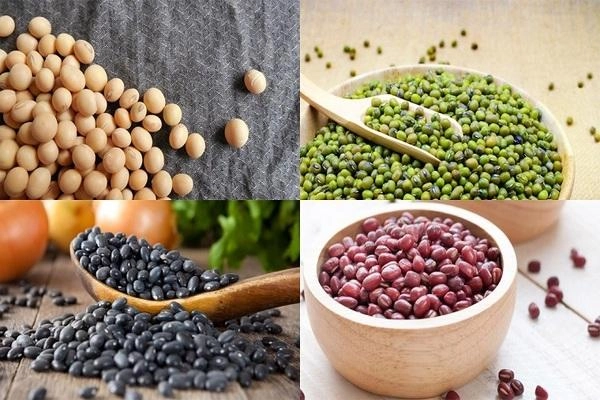 Những Loại Thức Ăn Nào Có Nguồn Gốc Thực Vật? 15 Thức ăn nào có nguồn gốc thực vật? - Các loại đậu
