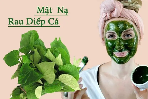 Hướng Dẫn Cách Pha Bột Diếp Cá Đắp Mặt Hiệu Quả 15 Hướng dẫn bảo quản bột diếp cá đúng cách