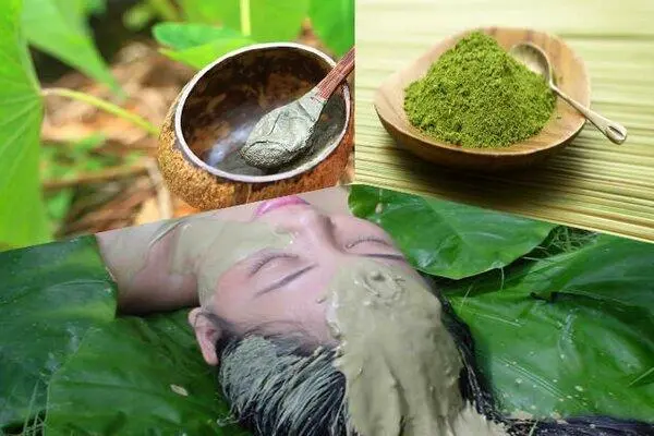 Hướng Dẫn Cách Pha Bột Diếp Cá Đắp Mặt Hiệu Quả 12 Kiểm tra độ đặc của mặt nạ