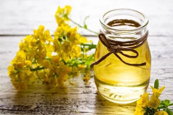 Liệu Ăn Chay Có Được Ăn Dầu Thực Vật Không? 17 Dầu hạt cải