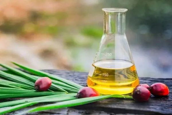Các Loại Dầu Ăn Nào Tốt Cho Sức Khỏe? 11 Tại sao việc chọn dầu ăn lại quan trọng?