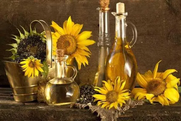 Cách Sử Dụng Dầu Ăn Hoa Hướng Dương Trong Nấu Ăn 14 Dầu hướng dương và dầu Canola