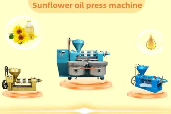 Tìm Hiểu Quy Trình Sản Xuất Dầu Hướng Dương 14 Linh hoạt trong sản xuất
