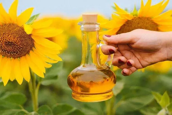 Cách Sử Dụng Dầu Ăn Hoa Hướng Dương Trong Nấu Ăn 12 Nấu các món hầm