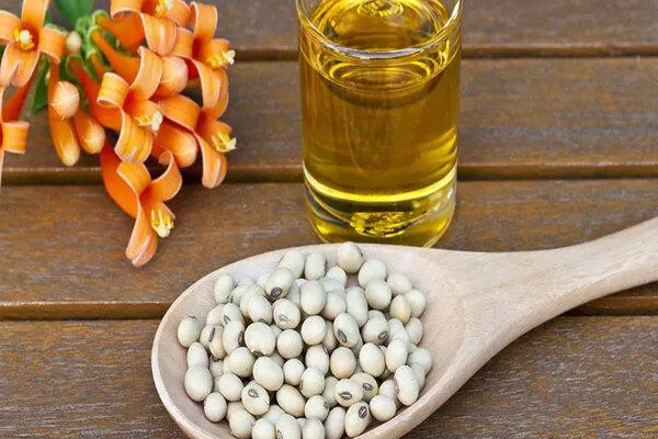 Dầu Đậu Nành Có Giảm Cân Không? 13 Dầu đậu nành có béo không?
