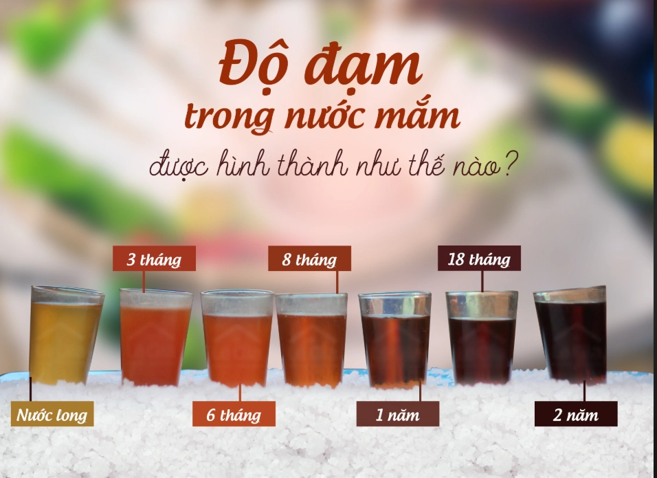 Các loại nước mắm – Kiến thức bạn cần biết 14 Độ đạm trong nước mắm