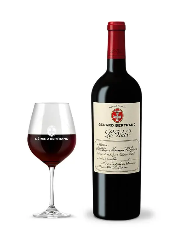 Rượu Vang Pháp – Đỉnh Cao Của Nghệ Thuật Làm Rượu 7 Rượu vang đỏ (Vin Rouge)