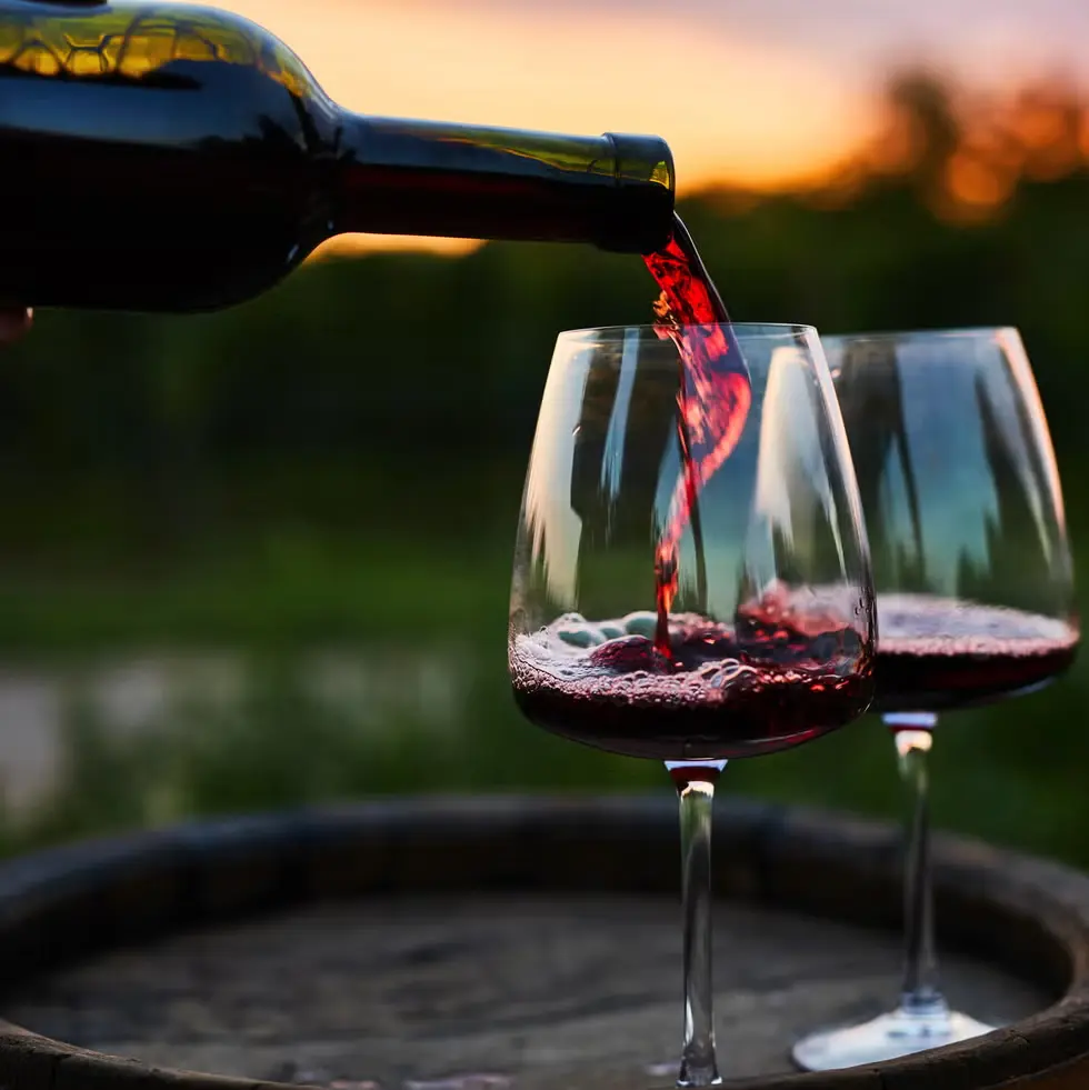 Các loại rượu vang – Khám phá thế giới của thức uống kỳ diệu 10 Rượu vang đỏ (Red Wine)